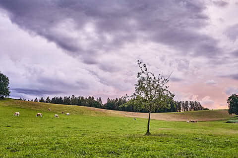 Gemeinde Reischach Landkreis Altötting Oberthal (Dirschl Johann) Deutschland AÖ